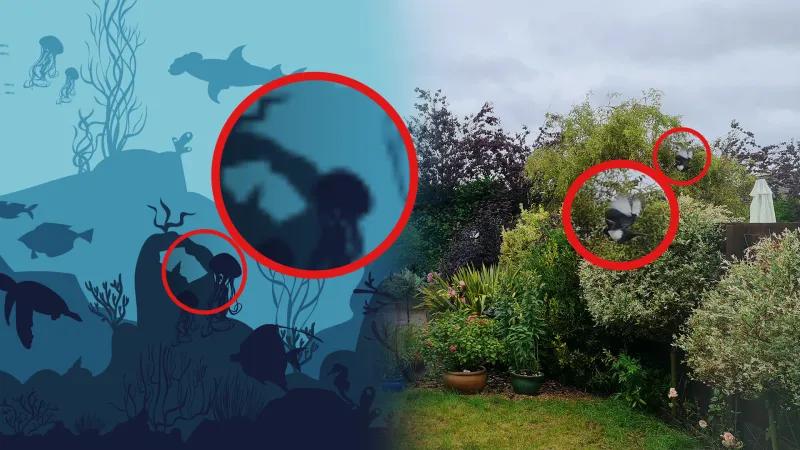 Half ocean and half garden with a fade between the 2 showing stretched images